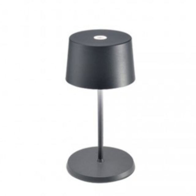 Zafferano Olivia Mini Rechargeable Table Lamp LED 2,2W H 22 cm 