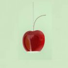 Aldo Bernardi Cherry pendant lamp Fruits 3 lights GU10 LED L 41 cm 