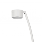 Lombardo Hasta R Aluminum floor lamp LED 15W H 300 cm max